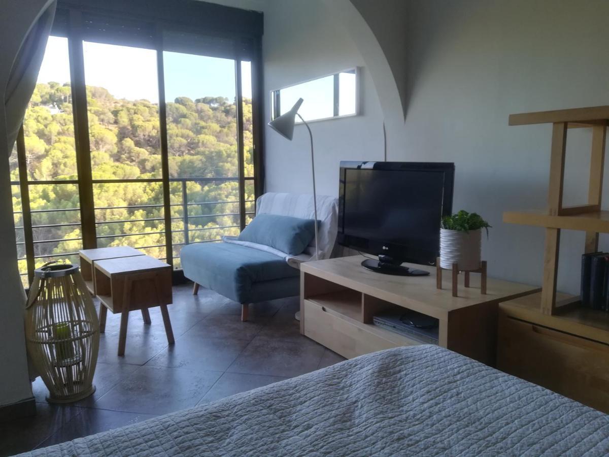 El Mirador De Bacha Apartment San Martin de Valdeiglesias Ngoại thất bức ảnh